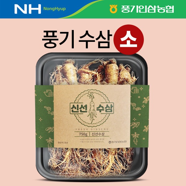 풍기 햇수삼 소(小) 750g (11~12뿌리)