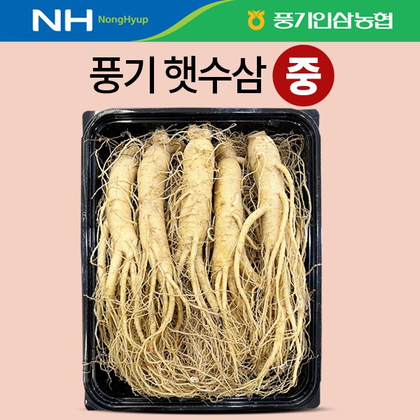 풍기 햇수삼 중(中) 750g (9~10뿌리)
