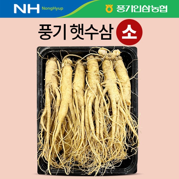 풍기 햇수삼 소(小) 750g (11~12뿌리)