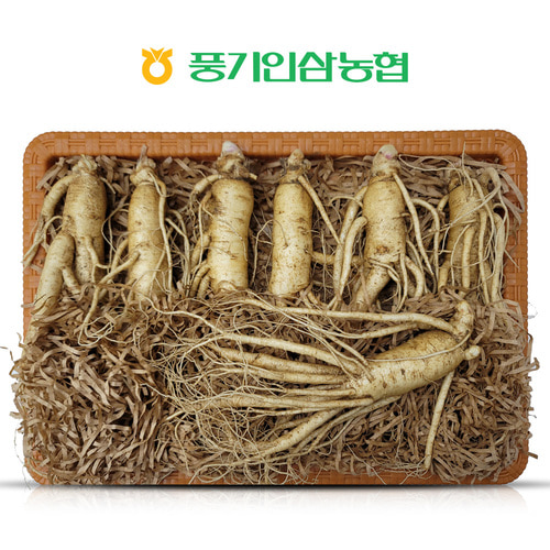 풍기 수삼선물세트 특대 1kg (7~8뿌리)